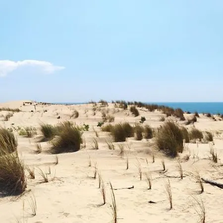 Maison Plain-pied 4 Pieces Proche Mer, 6 Pers, Patio - Fr-1-705-74 Les Mathes