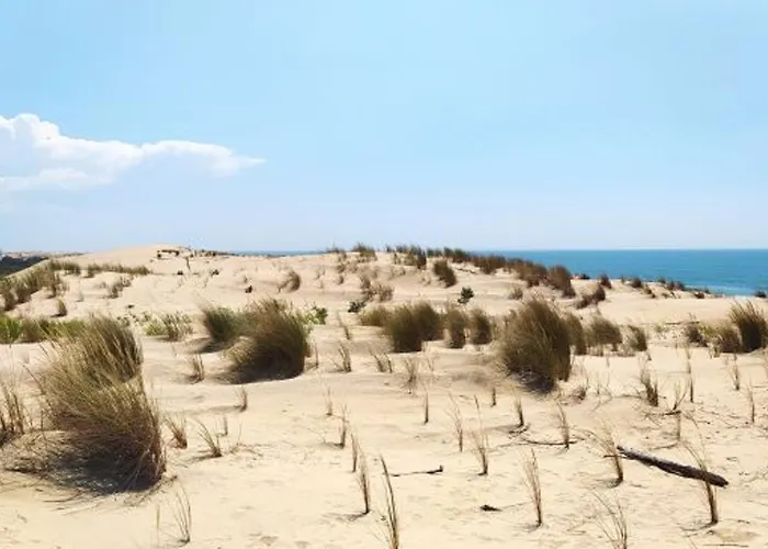 Maison Plain-pied 4 Pieces Proche Mer, 6 Pers, Patio - Fr-1-705-74 Les Mathes